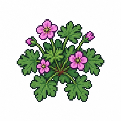 Single Cranes-bill plant for a fantasy game set in modern times, top-down style