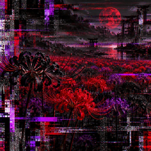 A field of Black, red and purple spider lillies 